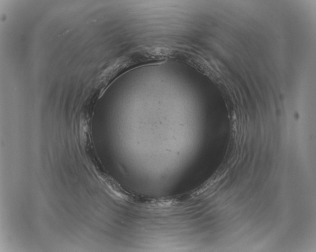 X0000071770235200607282221