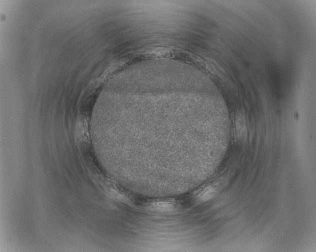 X0000071770236200607282221