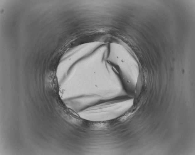 X0000071770237200607282221