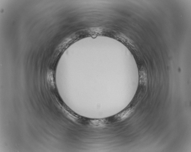 X0000071770238200607282221