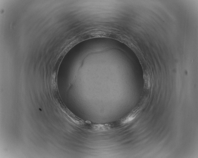 X0000071770239200607282221