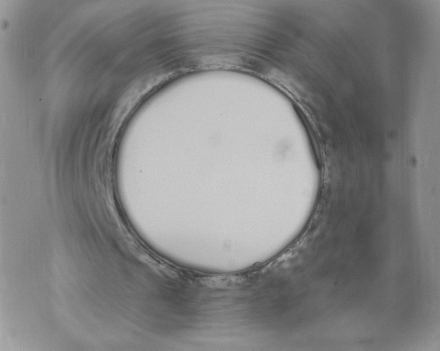 X0000071770241200607282220