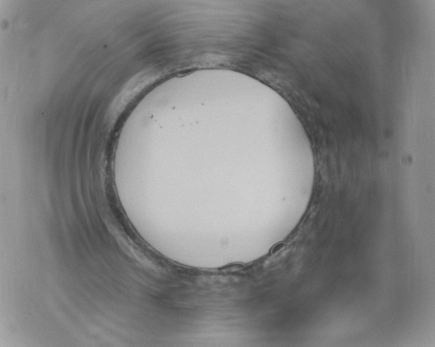 X0000071770242200607282220