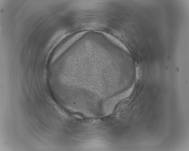 X0000071770243200607282220