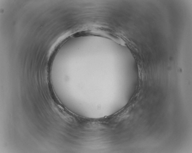 X0000071770244200607282220