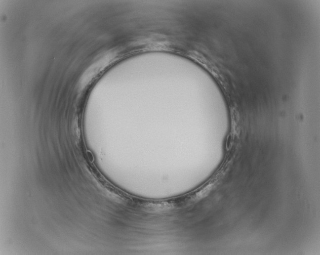 X0000071770245200607282220