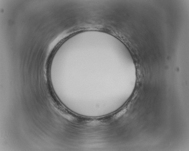 X0000071770246200607282220