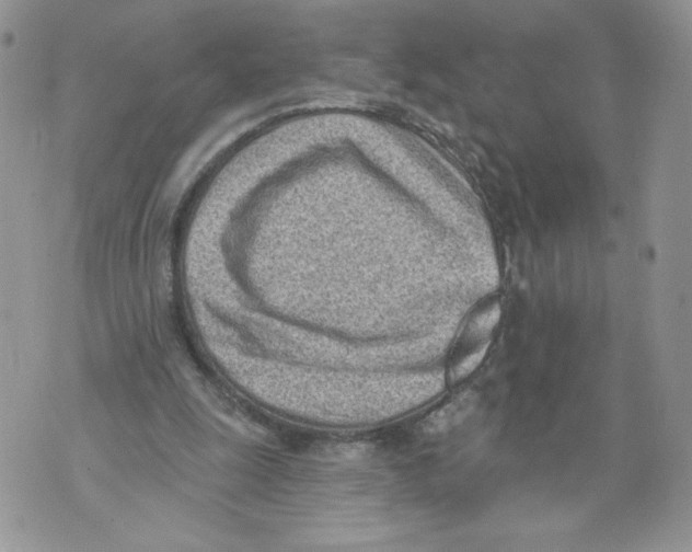 X0000071770247200607282220