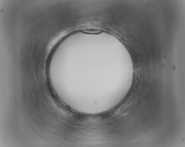 X0000071770248200607282220