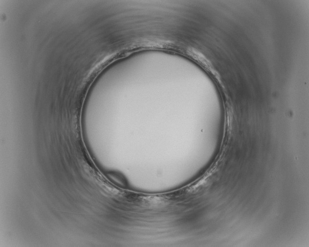 X0000071770249200607282220