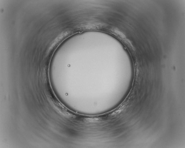 X0000071770250200607282220