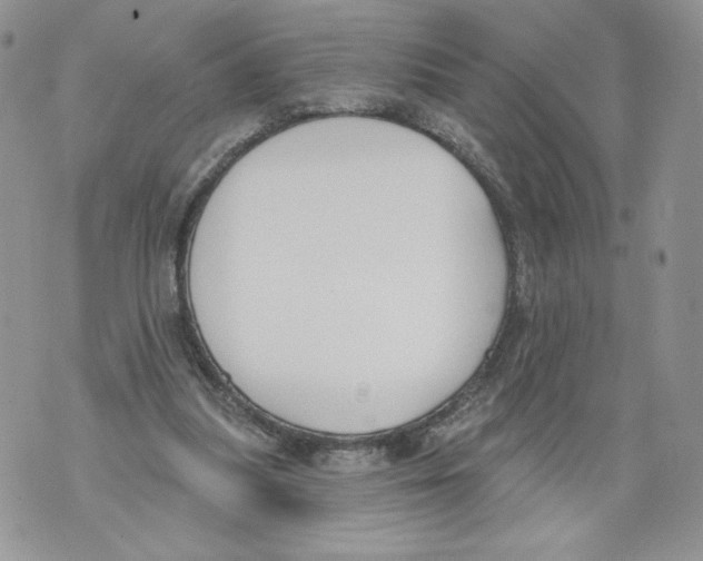 X0000071770251200607282220