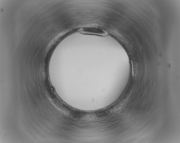 X0000071770252200607282220