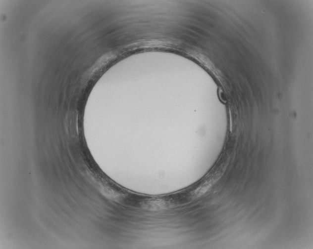 X0000071770253200607282220