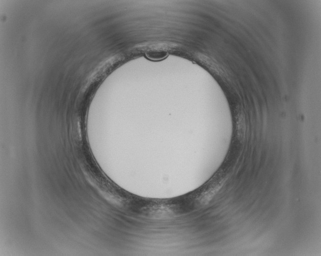 X0000071770254200607282220