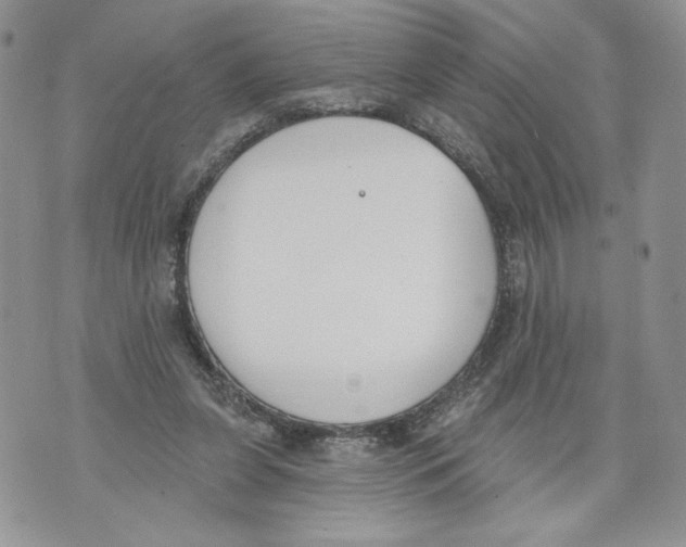 X0000071770255200607282220