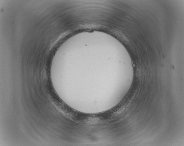 X0000071770256200607282220