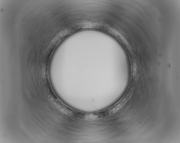 X0000071770257200607282220