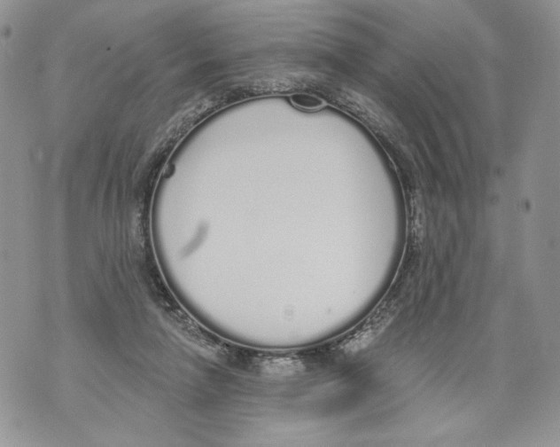 X0000071770258200607282220