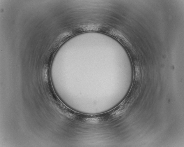 X0000071770259200607282220