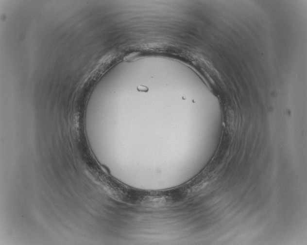 X0000071770260200607282220