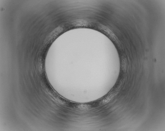 X0000071770261200607282220