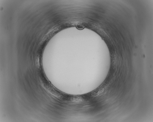 X0000071770262200607282220