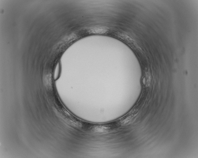 X0000071770263200607282220