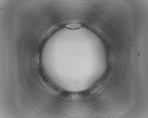 X0000071770264200607282220