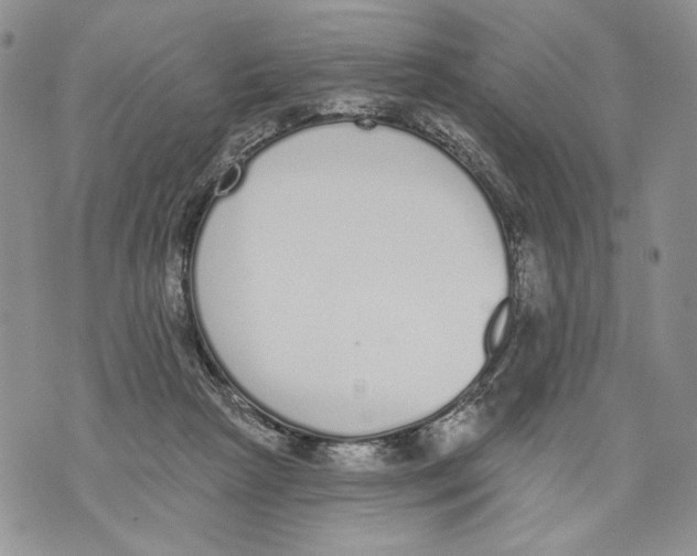 X0000071770265200607282220