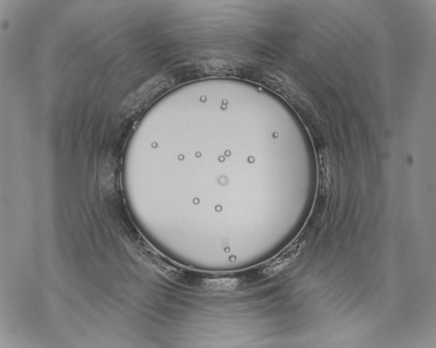 X0000071770266200607282220