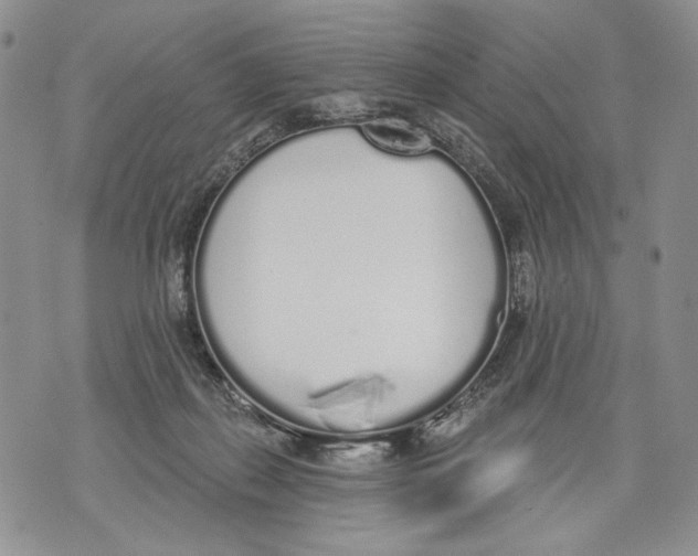 X0000071770267200607282220