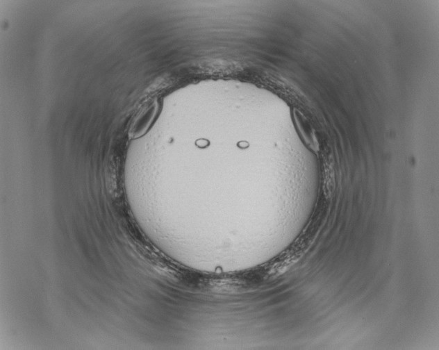 X0000071770268200607282220