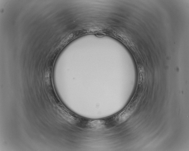 X0000071770269200607282220