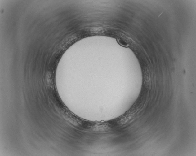 X0000071770270200607282220