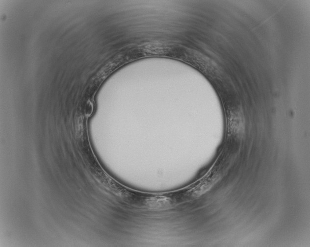 X0000071770271200607282220