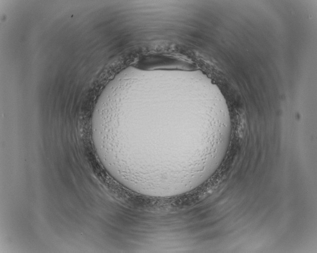 X0000071770272200607282220