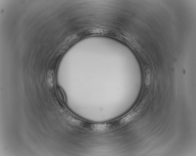 X0000071770273200607282220