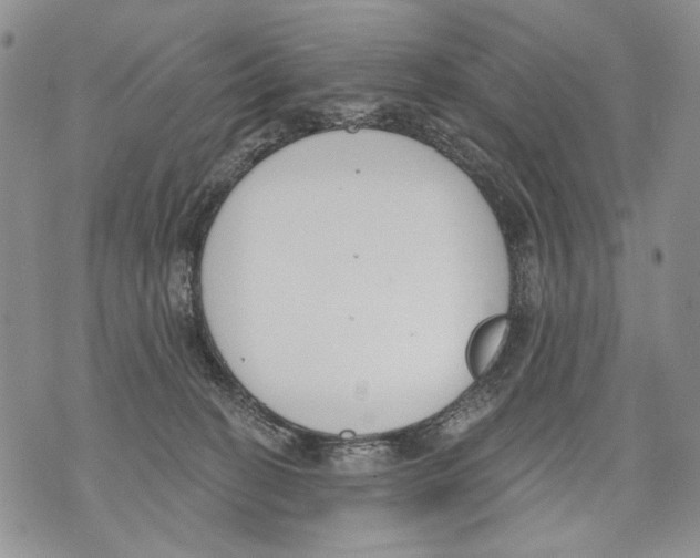 X0000071770274200607282220