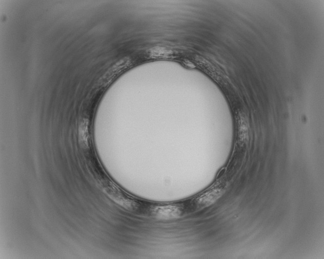 X0000071770275200607282220