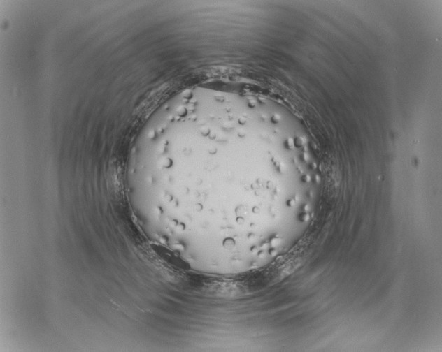 X0000071770276200607282220