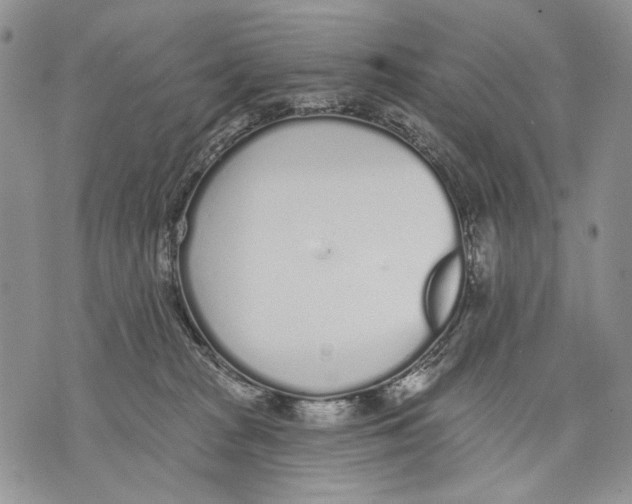 X0000071770277200607282220