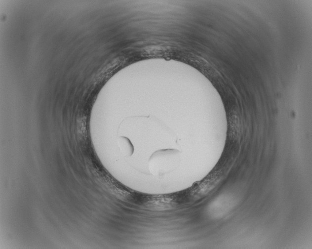 X0000071770278200607282221