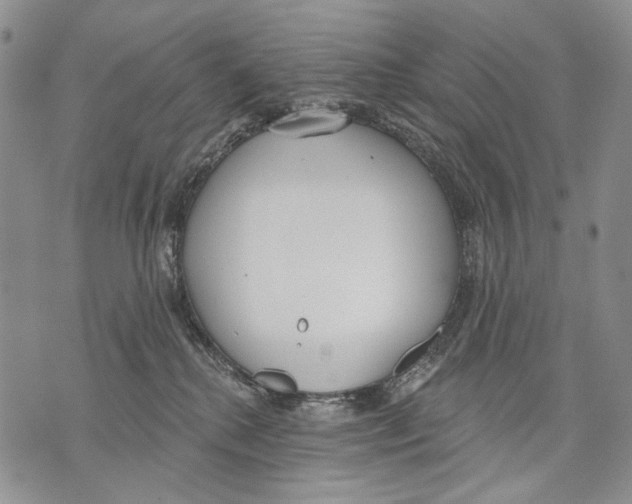 X0000071770280200607282221