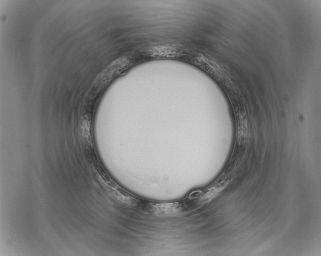 X0000071770281200607282221