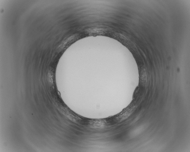 X0000071770282200607282221