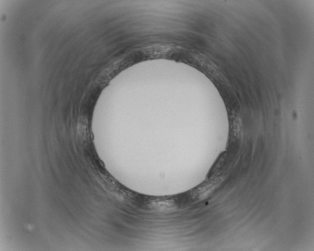 X0000071770283200607282221