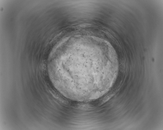 X0000071770284200607282221