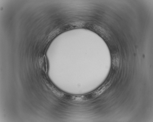 X0000071770285200607282221