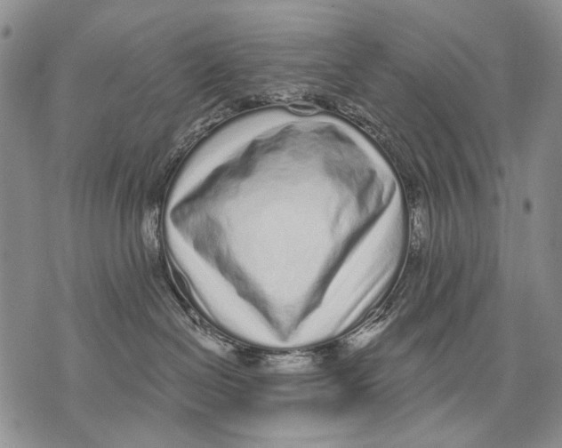 X0000071770286200607282221